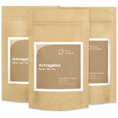 Astragale bio en poudre, 100 g, paquet de 3 