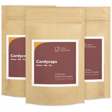 Cordyceps bio en poudre, 100 g, paquet de 3 